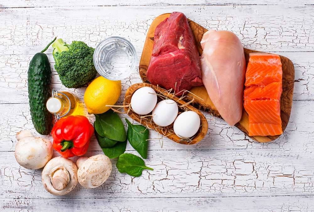 رژیم غذایی پروتئین